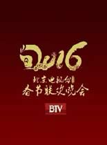 2016北京卫视春节联欢晚会