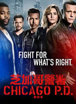 芝加哥警署第四季