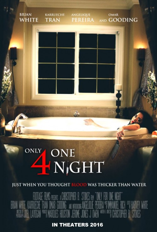 only for one night  only for one night  (2016)