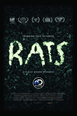 Rats  Rats  (2016)