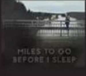 漂泊万里为入眠  Miles to Go Before I Sleep  (2015)