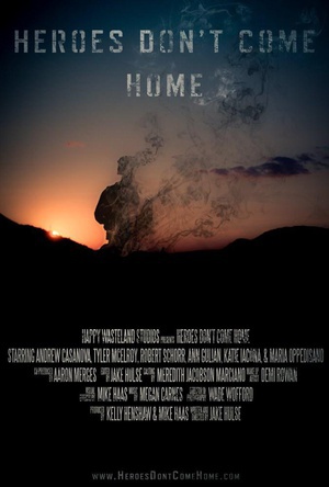 英雄不回家  Heroes Don't Come Home  (2016)