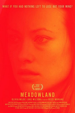 小镇迷踪  Meadowland  (2015)
