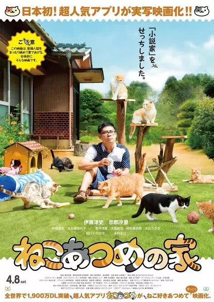 猫咪后院之家又名:猫咪收集之家(台),猫咪后院之家电影下载